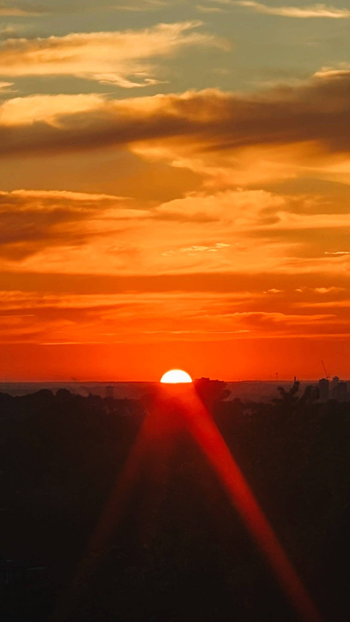 Golden Hour (Mandarin + Patchouli)