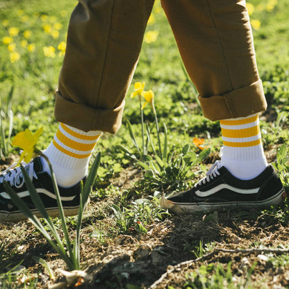 SOCCO Crew | White with Gold Stripes