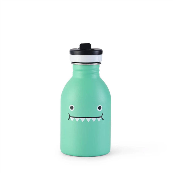 Stainless Steel Water Bottle - Ricedino Dinosaur - Green