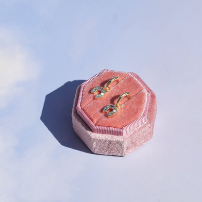 Mini Lucky Charm Hoop Earrings