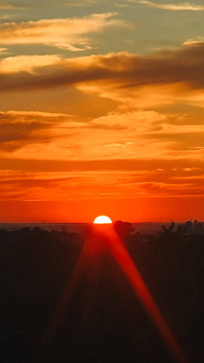 Golden Hour (Mandarin + Patchouli)