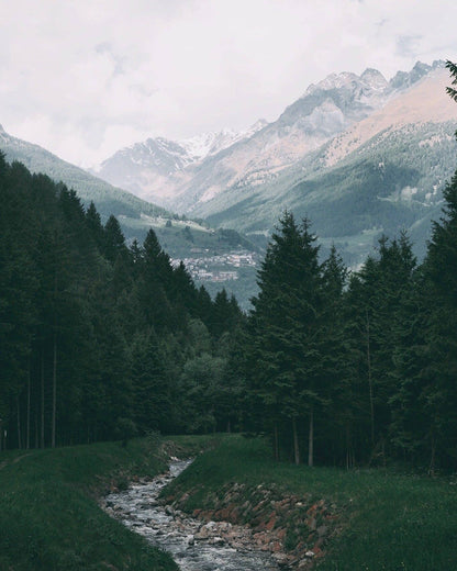 Restore (Bergamot + Mint + Rosemary)