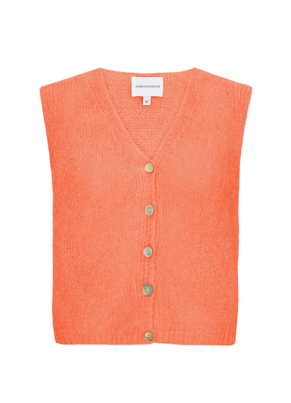 American Dreams Telma Vest